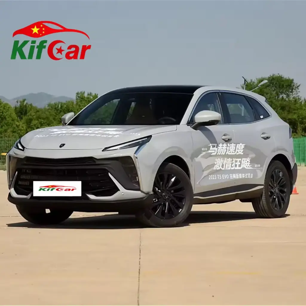 DONGFENG T5 EVO GRIS NARDO 2026